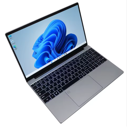 Ordinateur Portable Windows 11 Pro 12Go RAM 512Go SSD Écran 14 Pouces Rapide